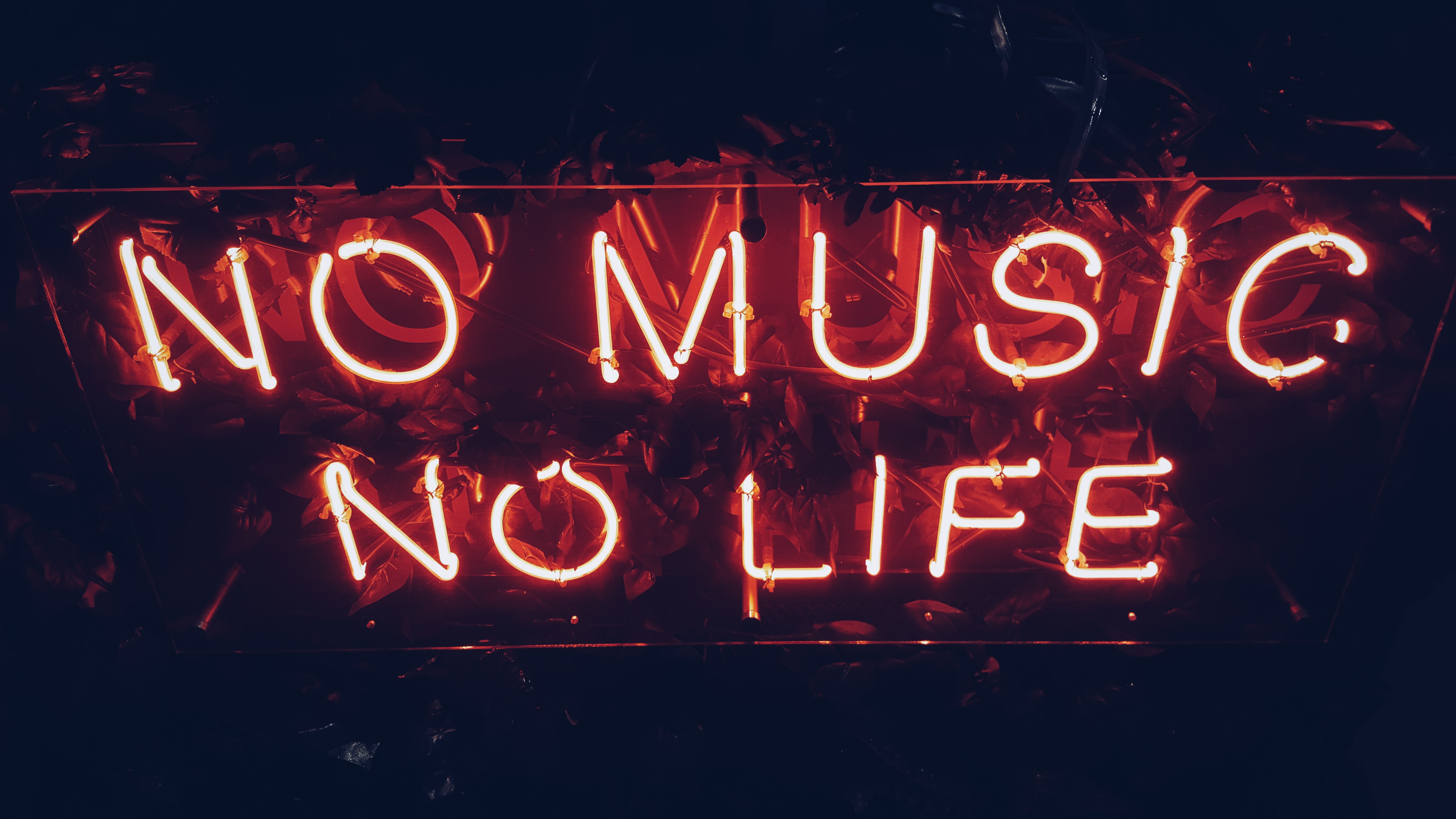 Neo sign that says No Music no Life
